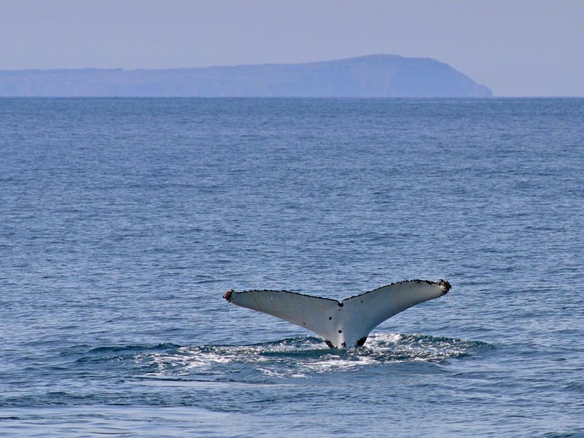 卡尔斯The Grampian Phillip Island别墅 外观 照片