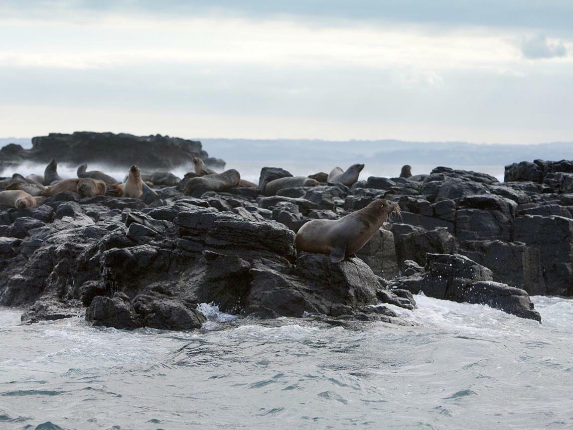 卡尔斯The Grampian Phillip Island别墅 外观 照片