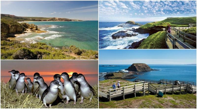 卡尔斯The Grampian Phillip Island别墅 外观 照片
