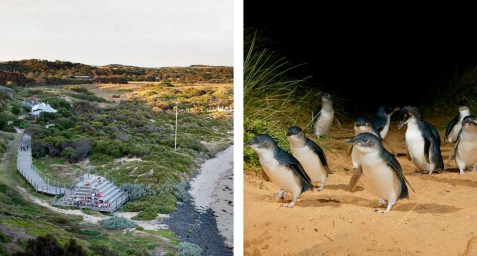 卡尔斯The Grampian Phillip Island别墅 外观 照片